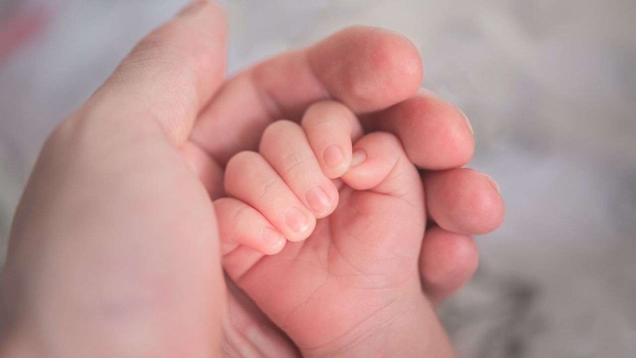 photo of a newborn's hand in an adult size hand