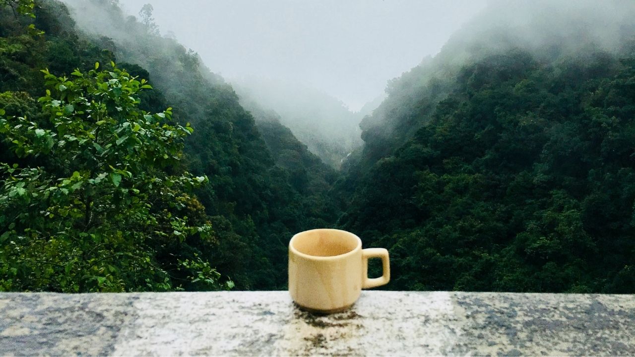 coffee mug in front of a mountain landscape