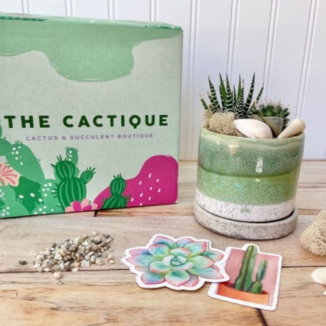 the cactique