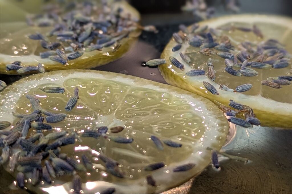 lemon and lavender simmering on the stovetop